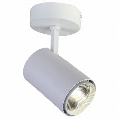 Потолочный светильник Favourite Projector 1773-1U